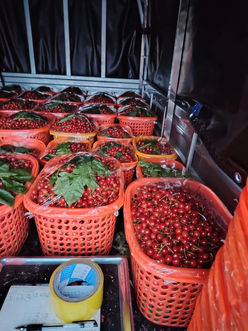 烟台沙玉果蔬